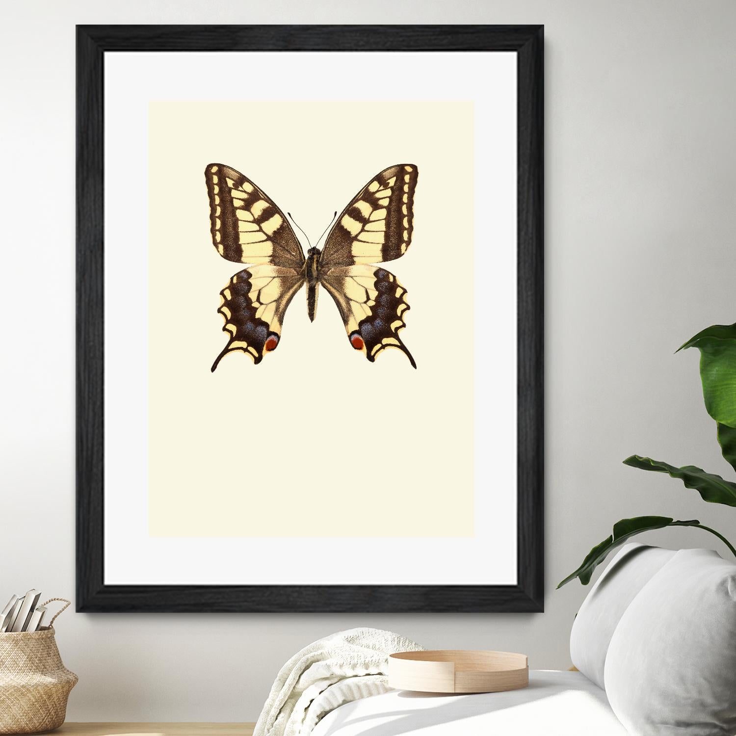 Papilio machaon by Incado on GIANT ART - multicolor animals; floral/still life