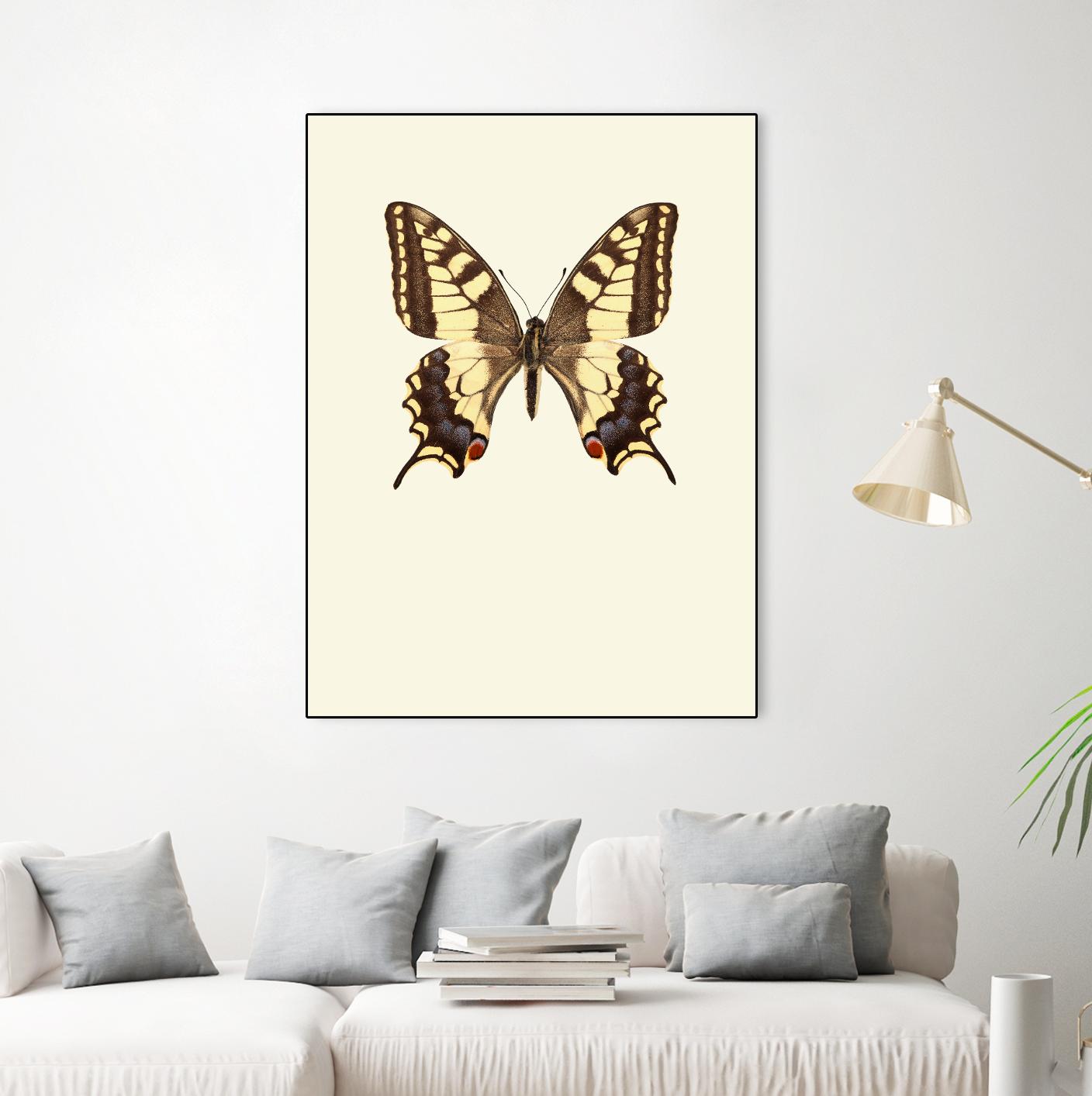 Papilio machaon by Incado on GIANT ART - multicolor animals; floral/still life