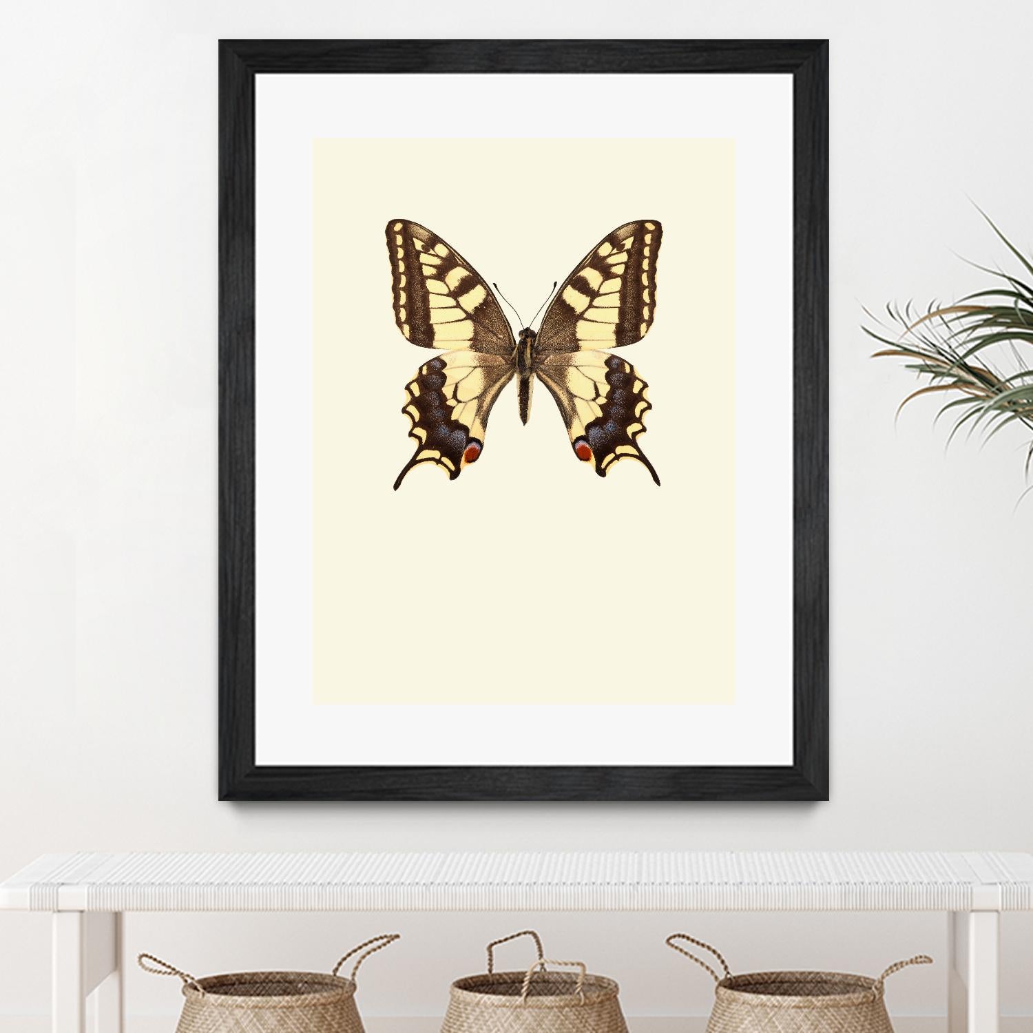 Papilio machaon by Incado on GIANT ART - multicolor animals; floral/still life