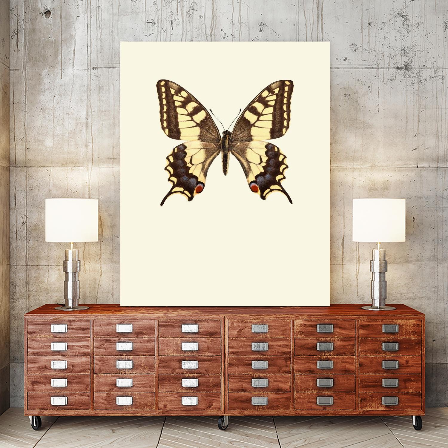 Papilio machaon by Incado on GIANT ART - multicolor animals; floral/still life