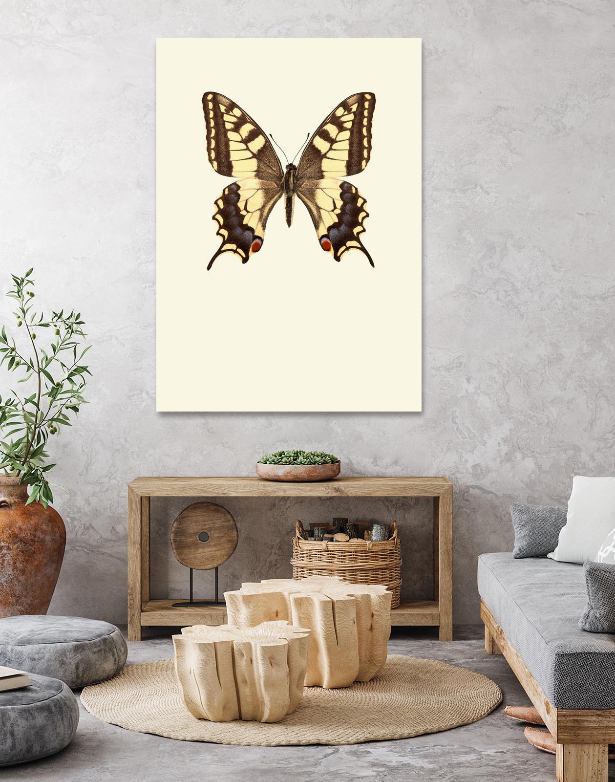 Papilio machaon by Incado on GIANT ART - multicolor animals; floral/still life