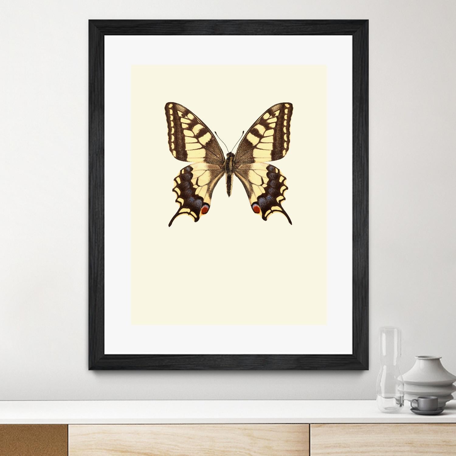 Papilio machaon by Incado on GIANT ART - multicolor animals; floral/still life