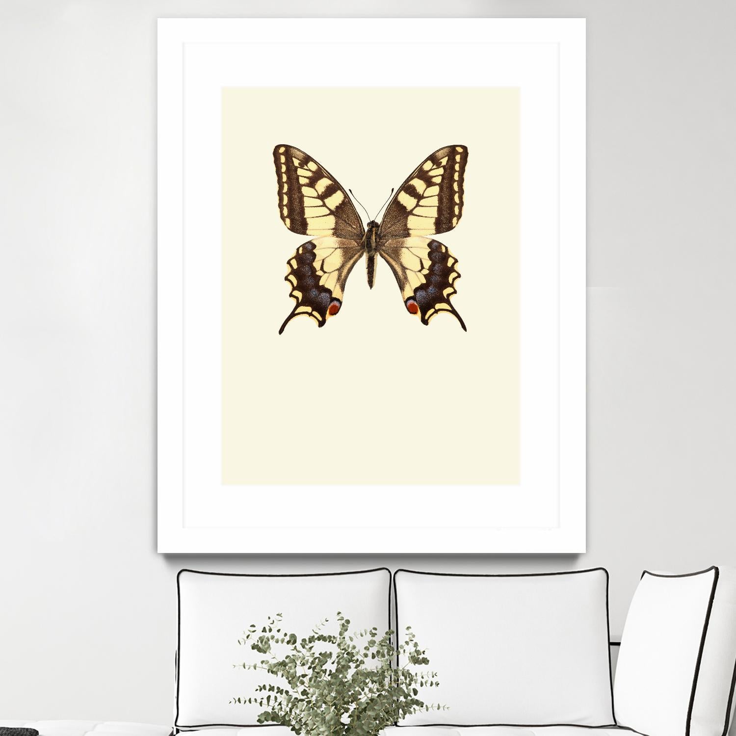 Papilio machaon by Incado on GIANT ART - multicolor animals; floral/still life
