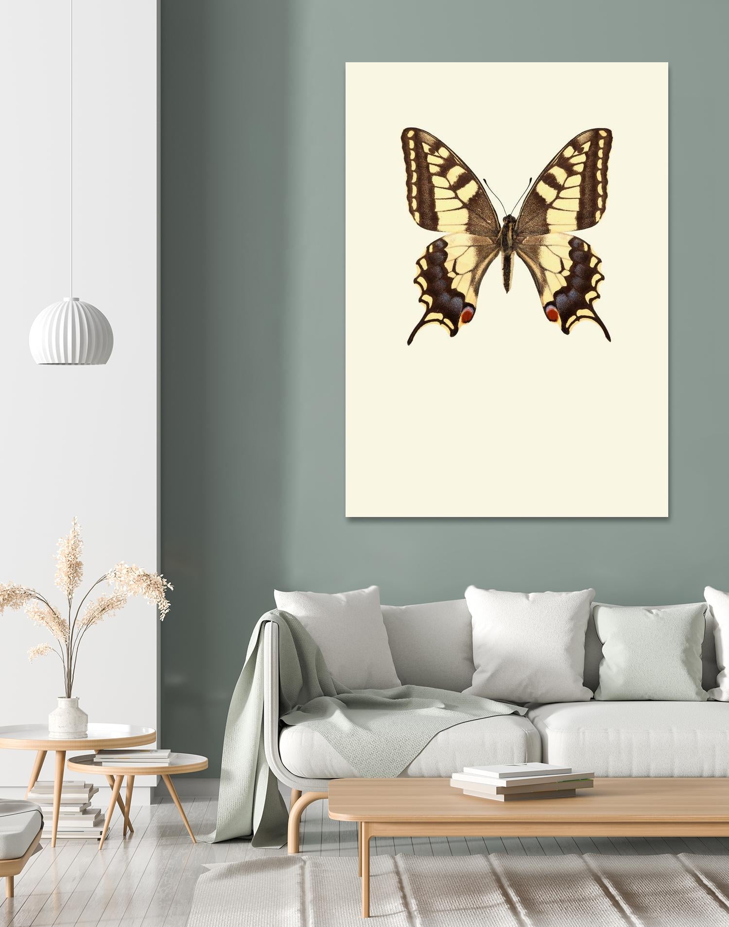 Papilio machaon by Incado on GIANT ART - multicolor animals; floral/still life
