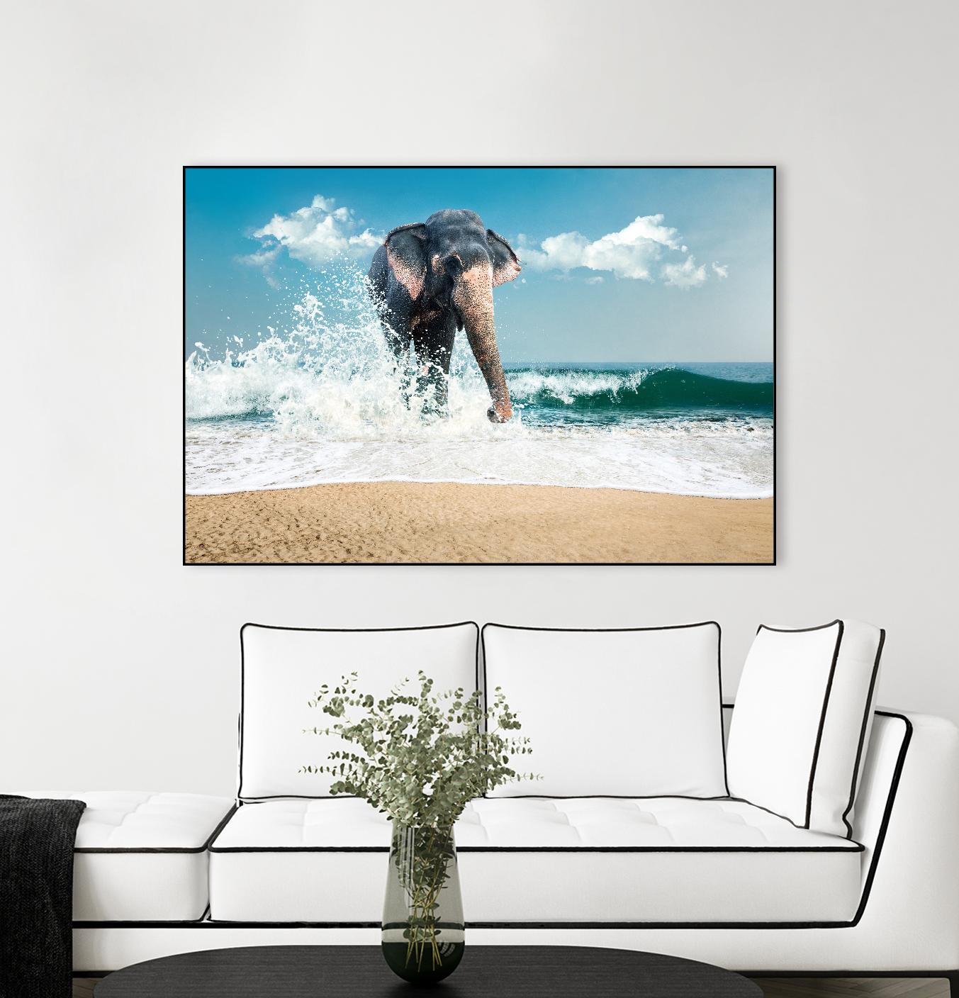 Elephant by PhotoINC Studio on GIANT ART - multicolor photography; animals