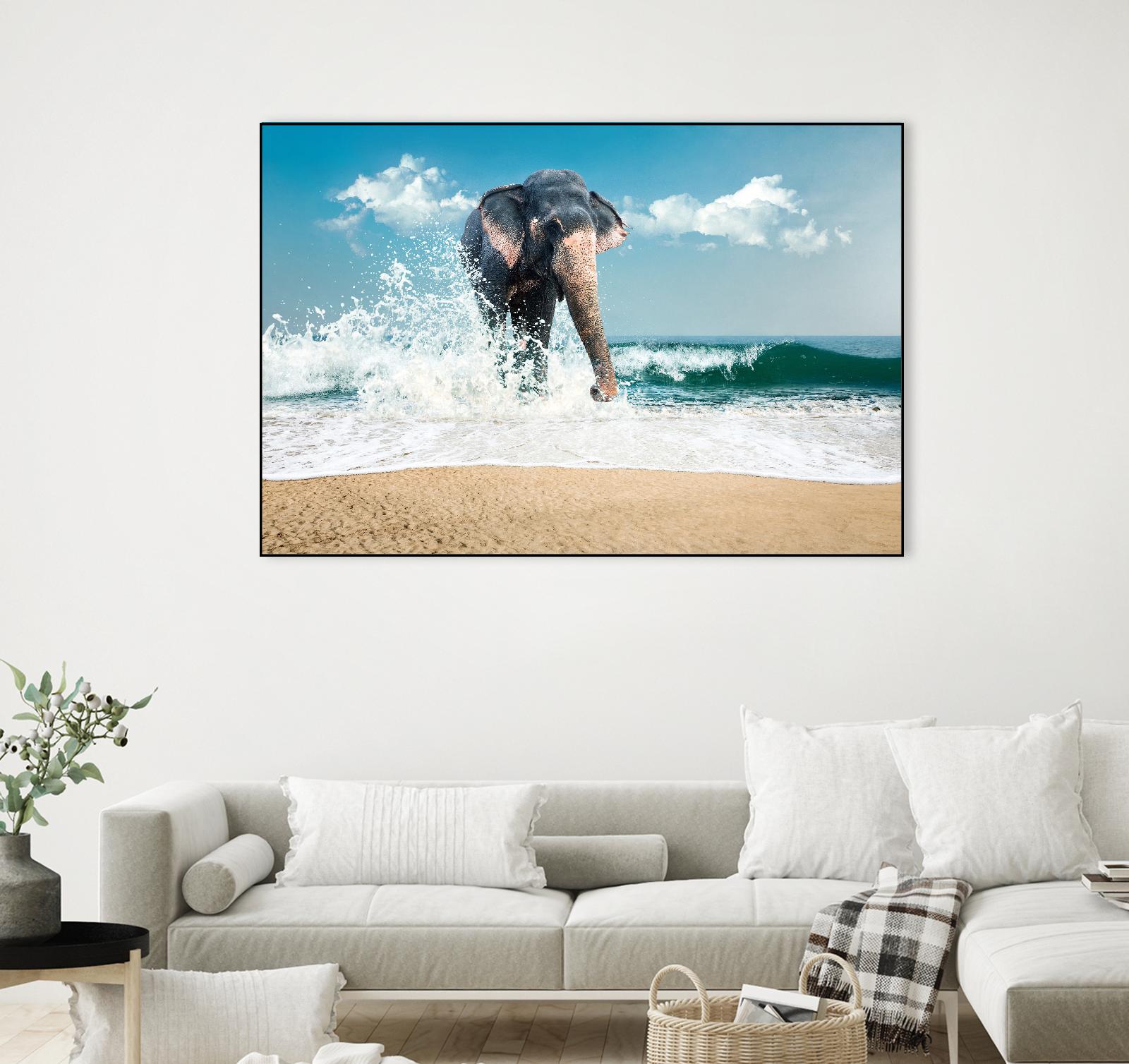 Elephant by PhotoINC Studio on GIANT ART - multicolor photography; animals