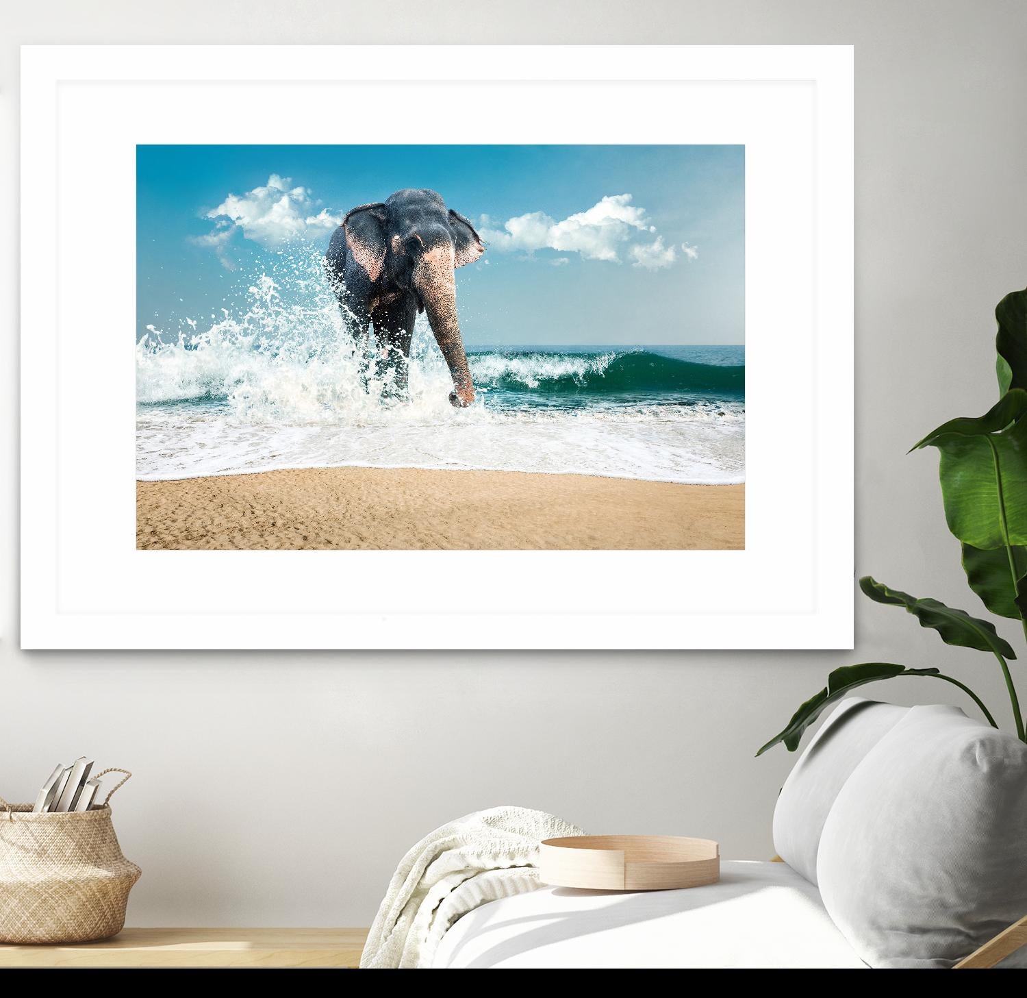 Elephant by PhotoINC Studio on GIANT ART - multicolor photography; animals