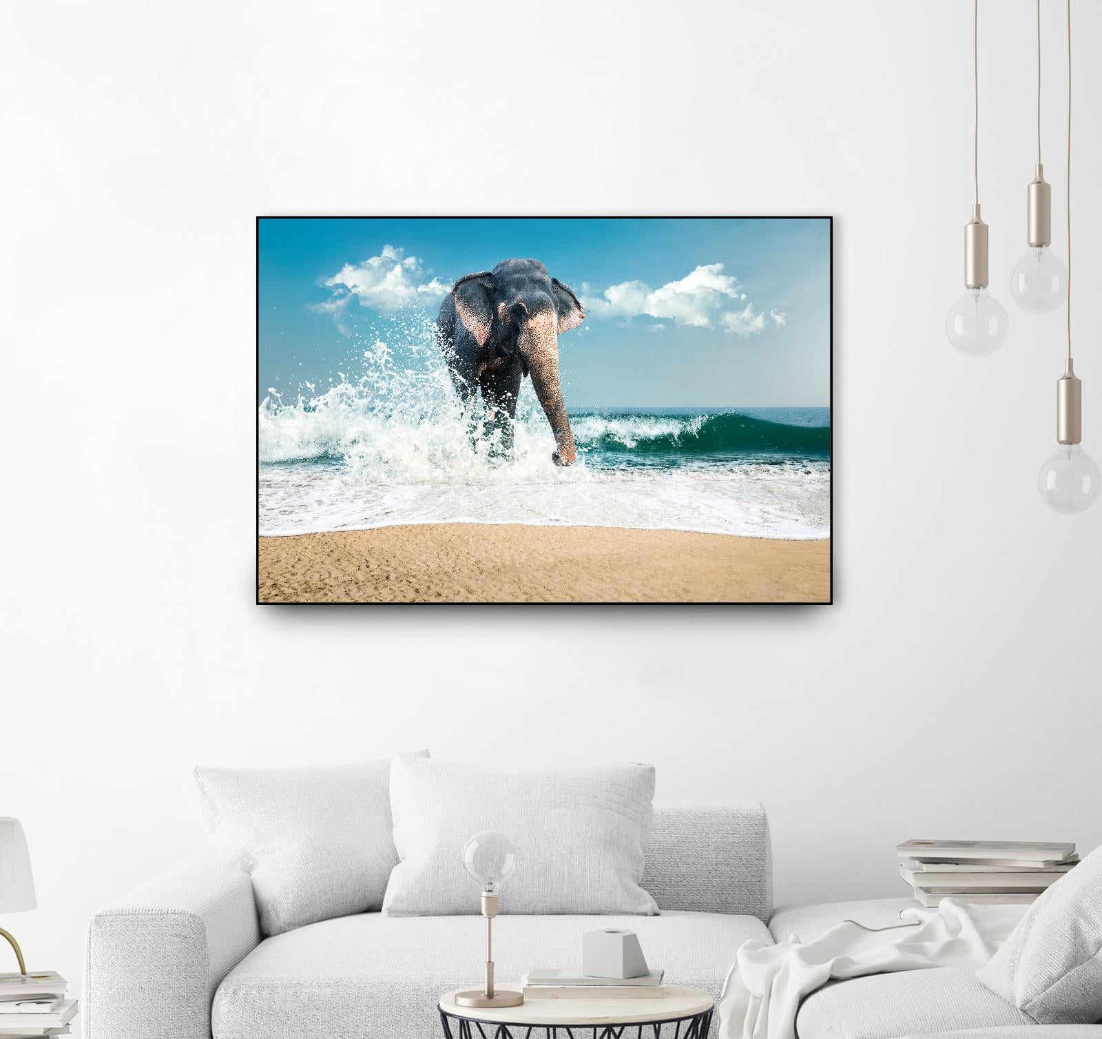 Elephant by PhotoINC Studio on GIANT ART - multicolor photography; animals