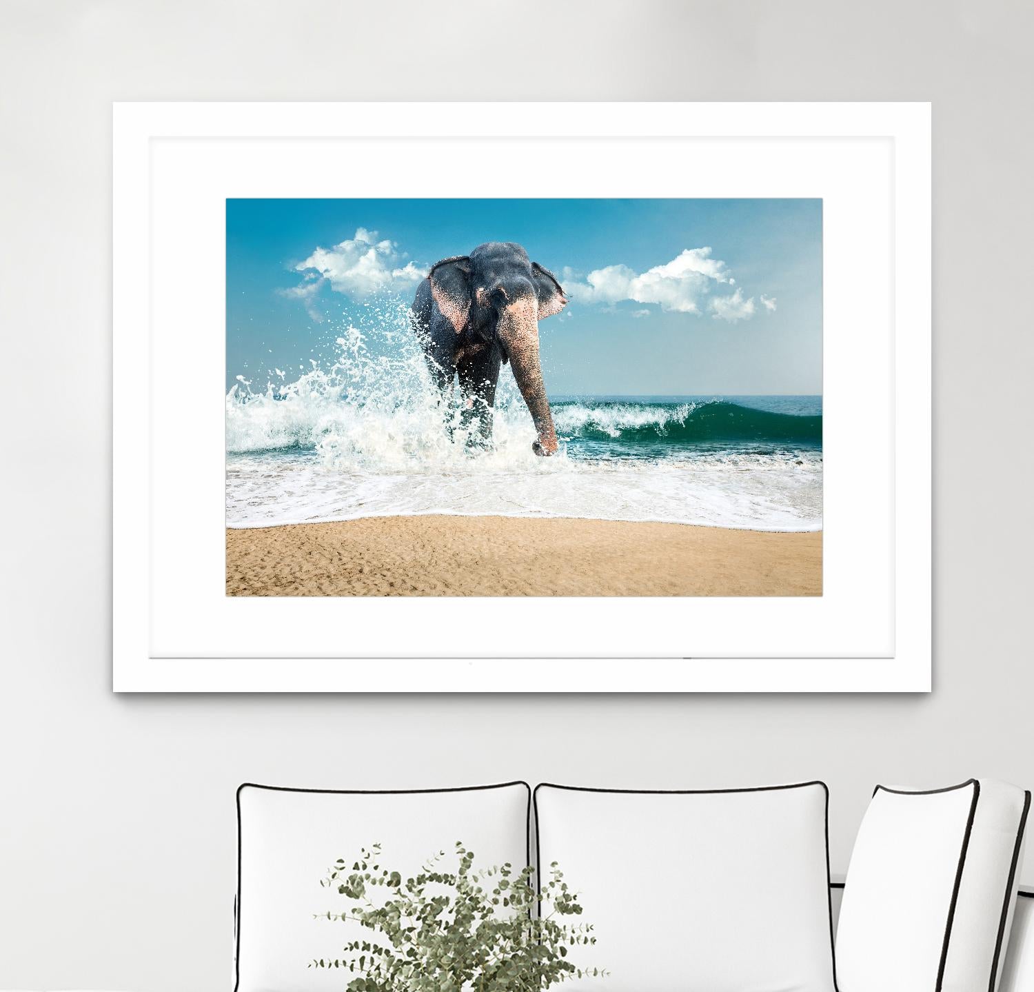 Elephant by PhotoINC Studio on GIANT ART - multicolor photography; animals