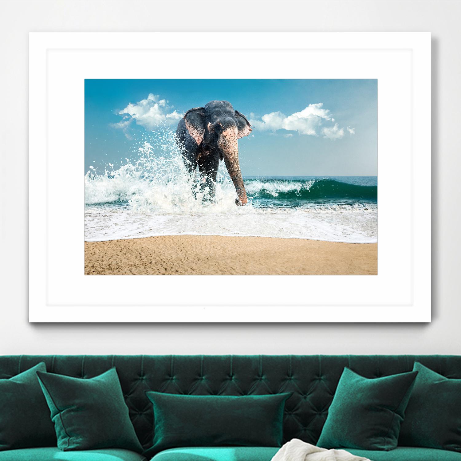 Elephant by PhotoINC Studio on GIANT ART - multicolor photography; animals