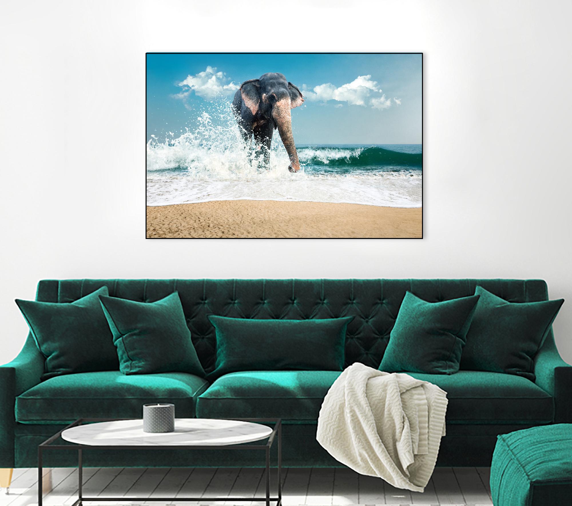 Elephant by PhotoINC Studio on GIANT ART - multicolor photography; animals