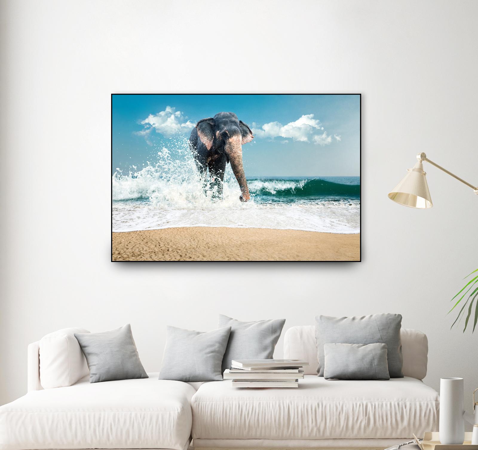 Elephant by PhotoINC Studio on GIANT ART - multicolor photography; animals