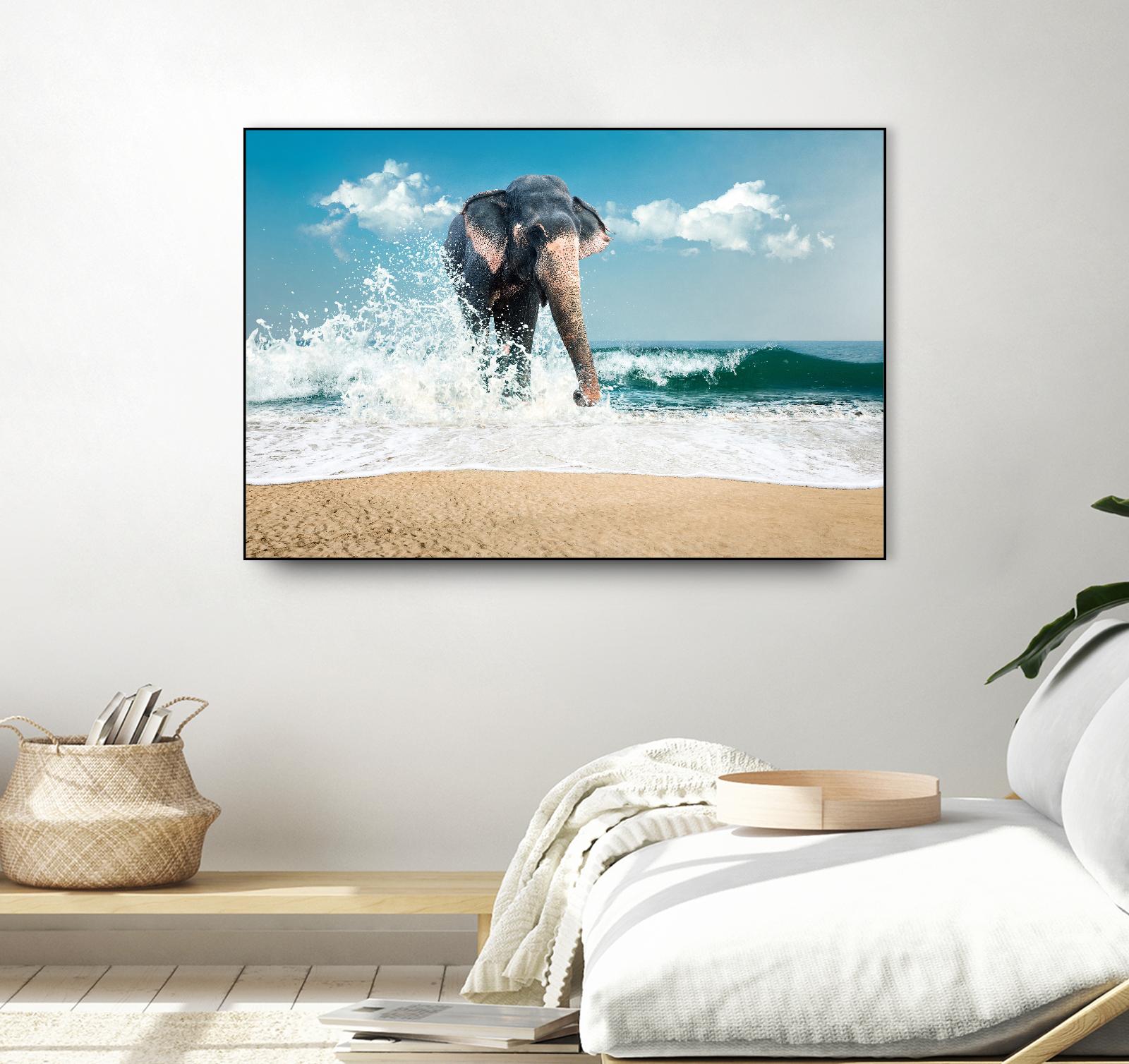 Elephant by PhotoINC Studio on GIANT ART - multicolor photography; animals