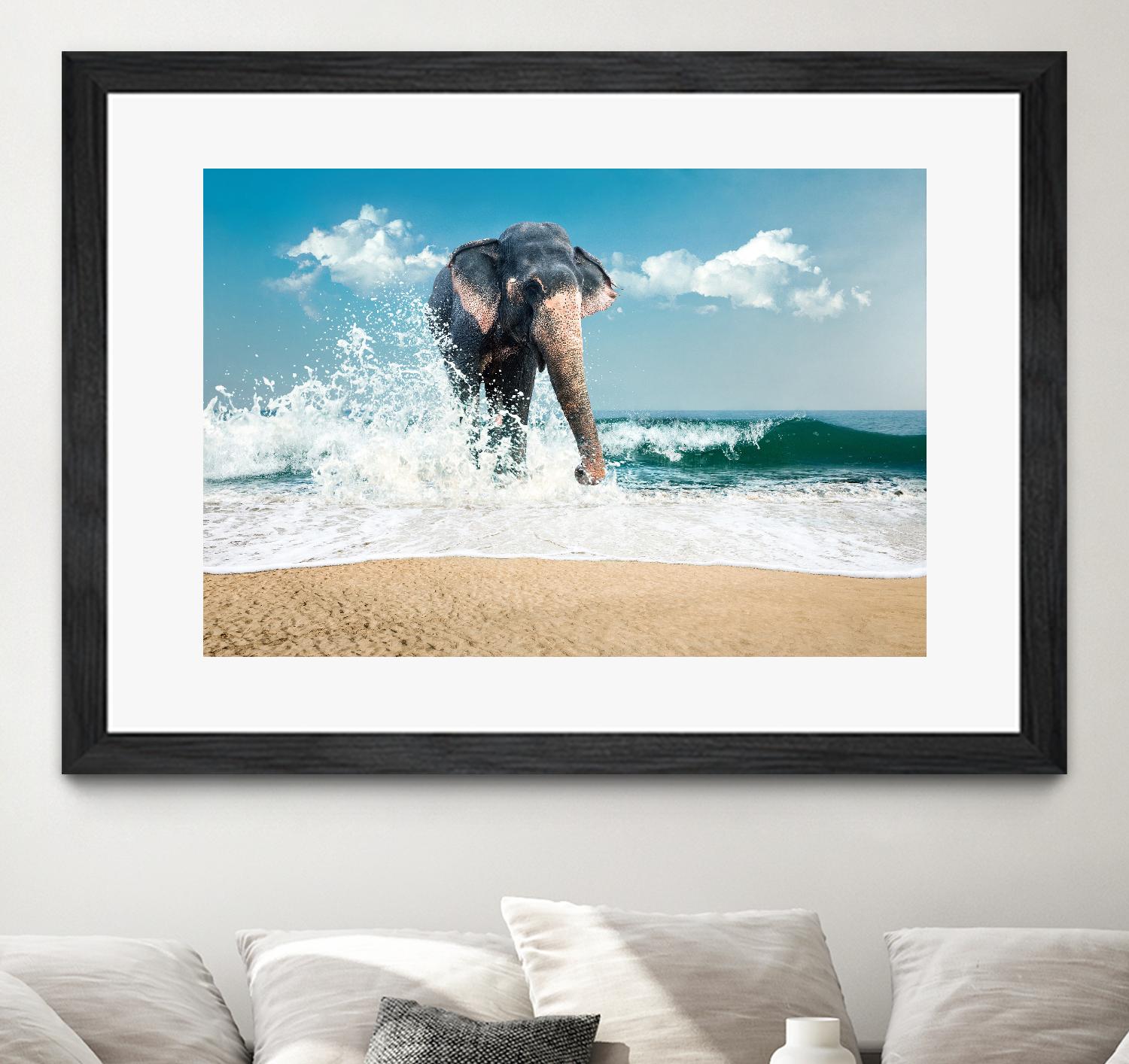 Elephant by PhotoINC Studio on GIANT ART - multicolor photography; animals