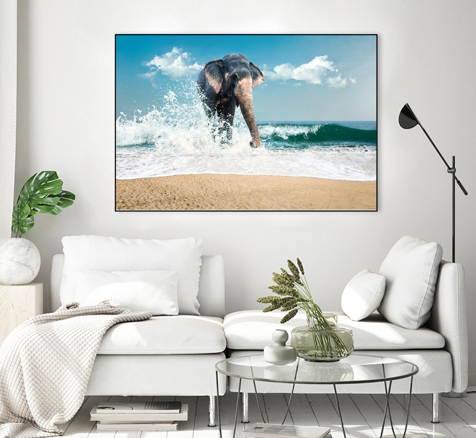 Elephant by PhotoINC Studio on GIANT ART - multicolor photography; animals