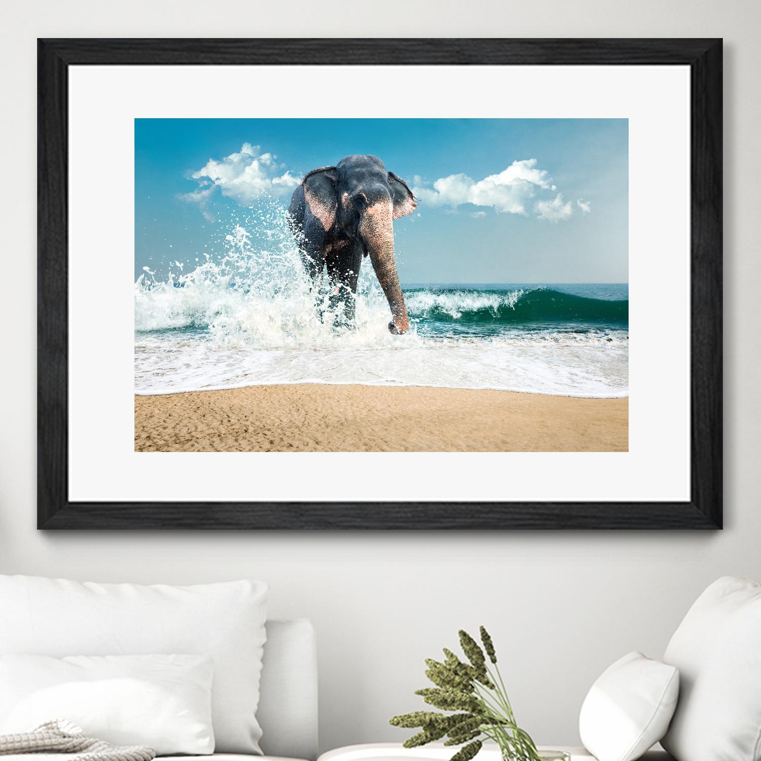 Elephant by PhotoINC Studio on GIANT ART - multicolor photography; animals