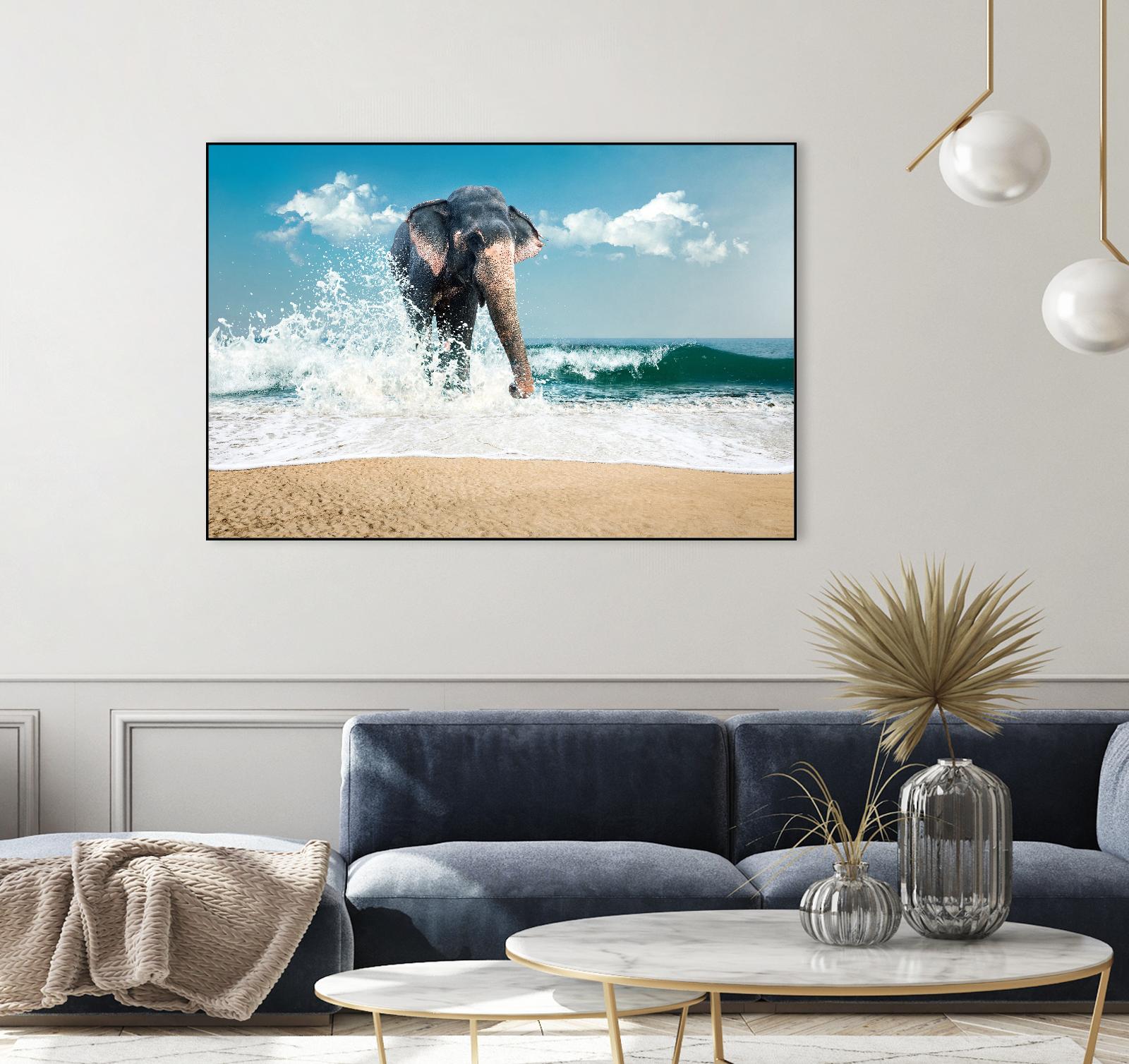 Elephant by PhotoINC Studio on GIANT ART - multicolor photography; animals
