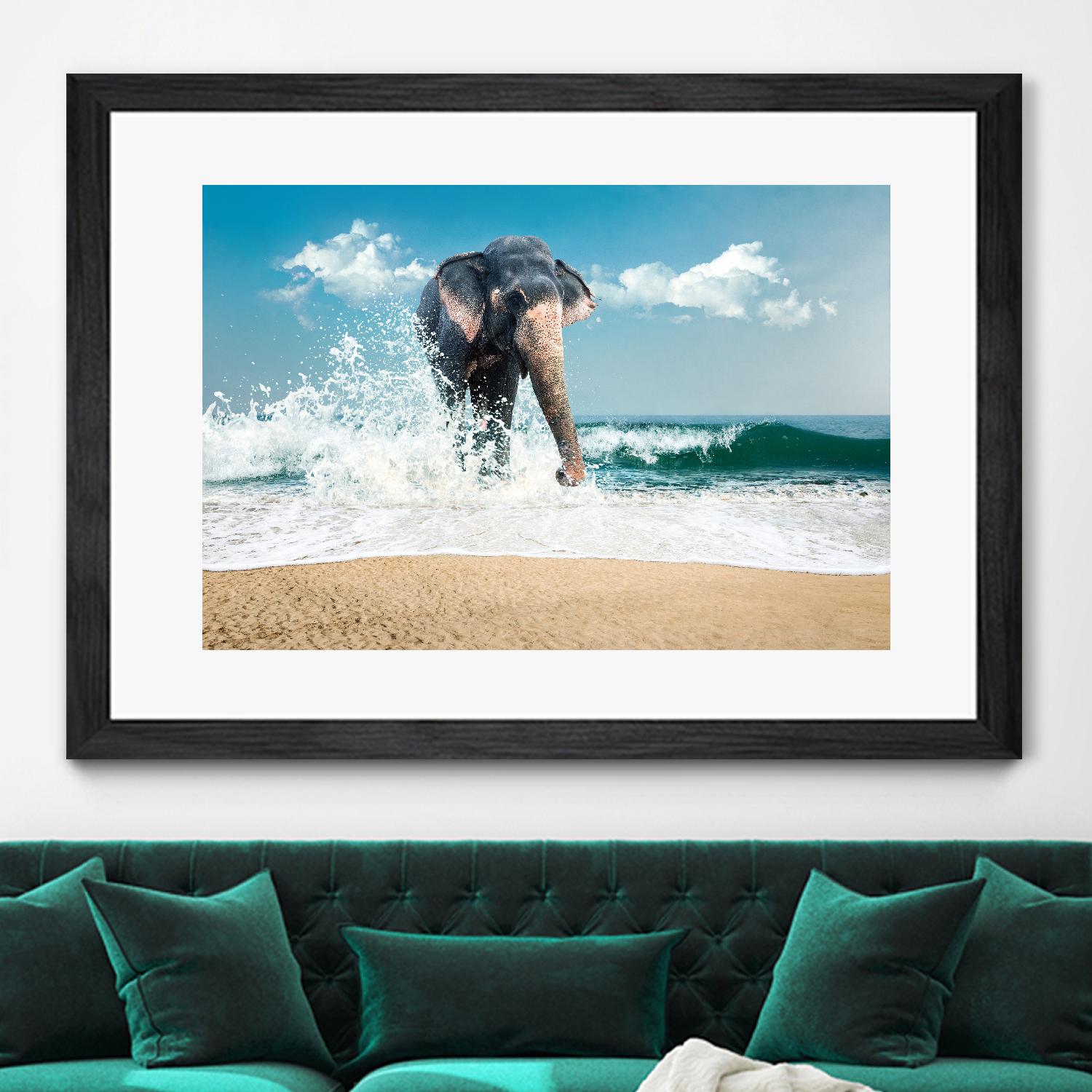 Elephant by PhotoINC Studio on GIANT ART - multicolor photography; animals