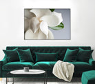 Magnolia by PhotoINC Studio on GIANT ART - multicolor photography; floral/still life