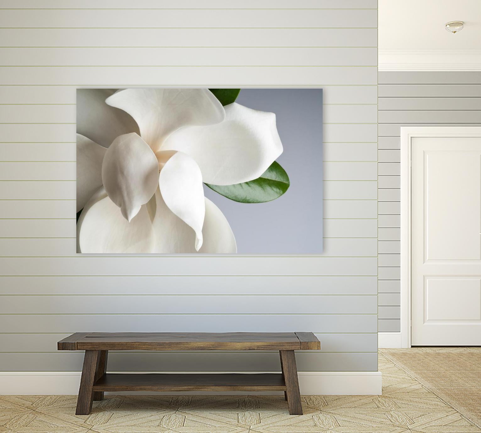 Magnolia by PhotoINC Studio on GIANT ART - multicolor photography; floral/still life