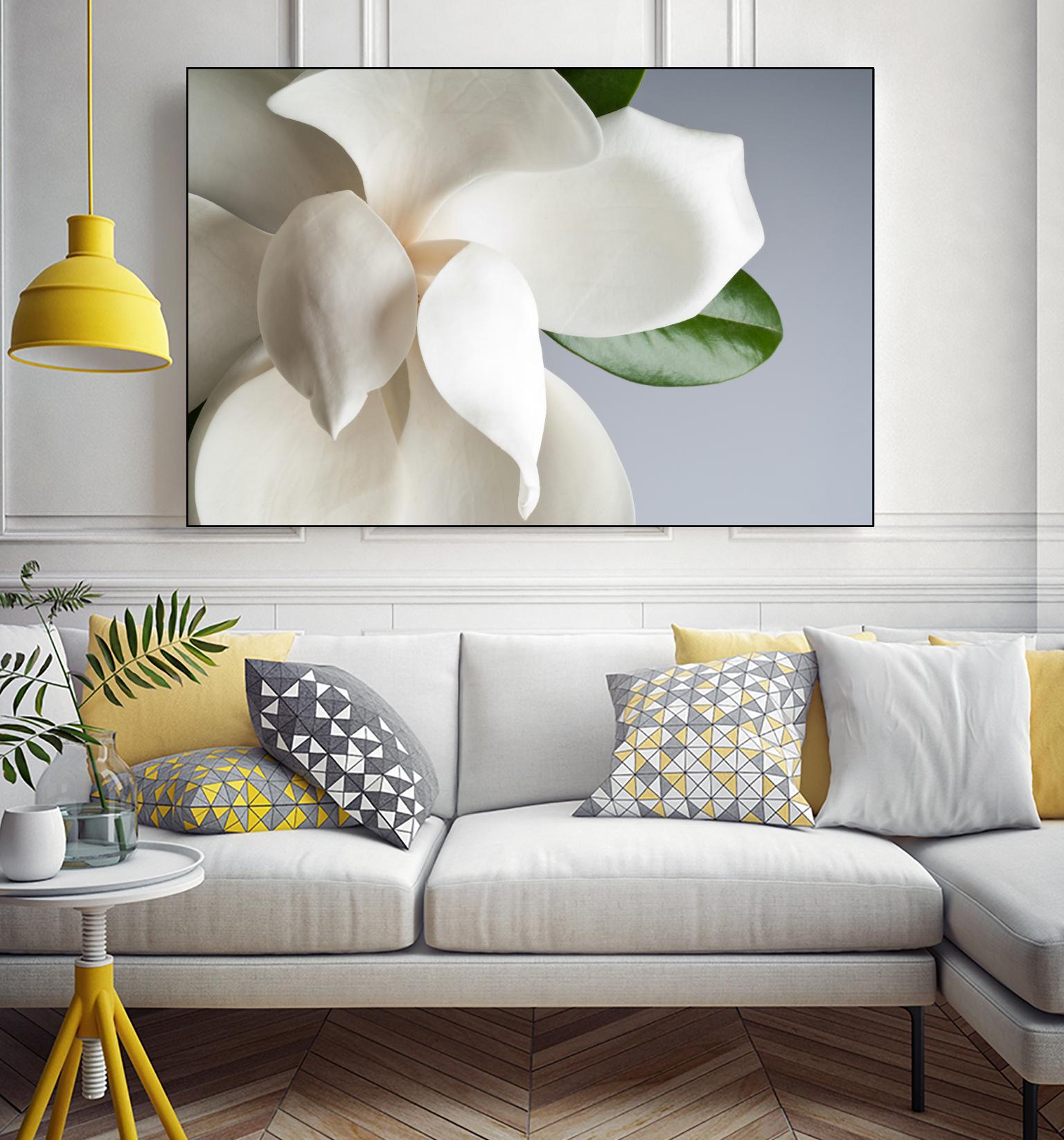 Magnolia by PhotoINC Studio on GIANT ART - multicolor photography; floral/still life