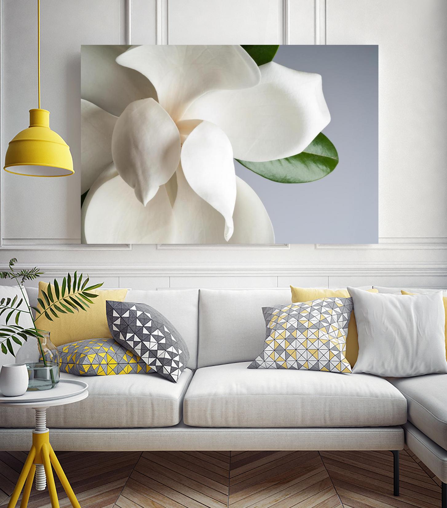 Magnolia by PhotoINC Studio on GIANT ART - multicolor photography; floral/still life