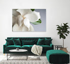 Magnolia by PhotoINC Studio on GIANT ART - multicolor photography; floral/still life