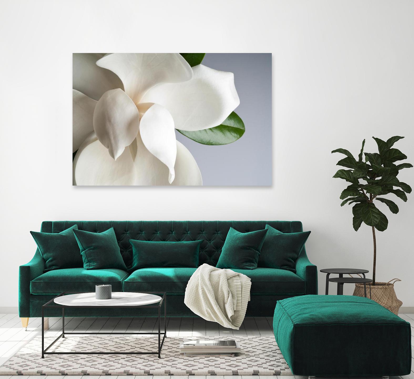 Magnolia by PhotoINC Studio on GIANT ART - multicolor photography; floral/still life