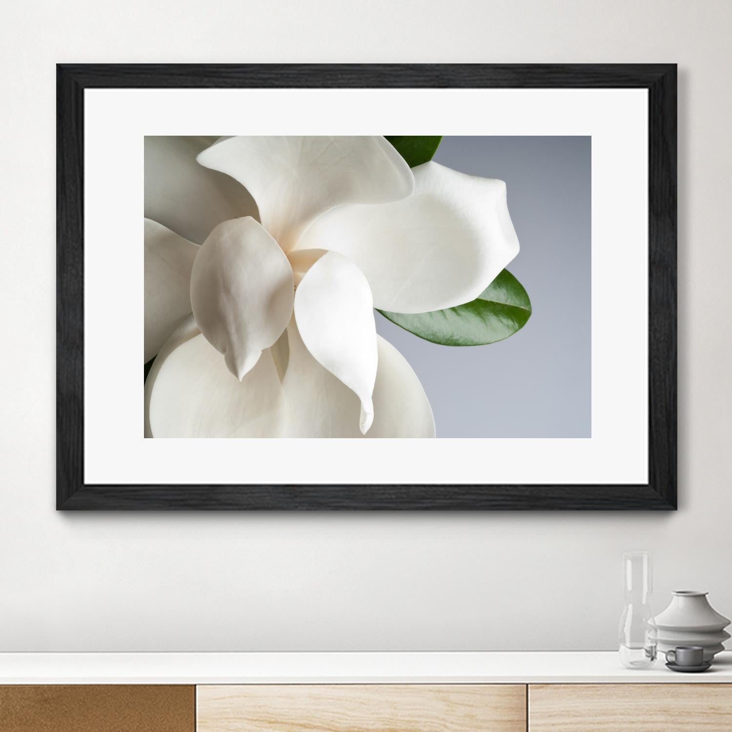 Magnolia by PhotoINC Studio on GIANT ART - multicolor photography; floral/still life