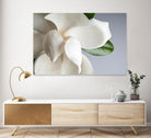 Magnolia by PhotoINC Studio on GIANT ART - multicolor photography; floral/still life