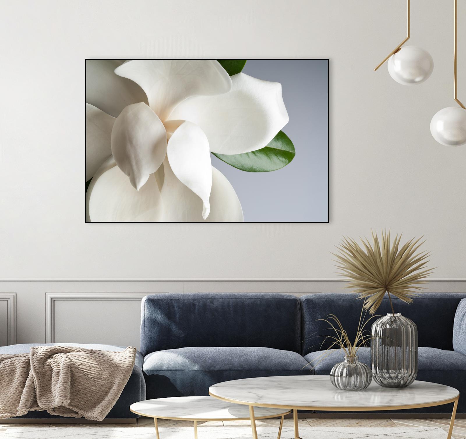 Magnolia by PhotoINC Studio on GIANT ART - multicolor photography; floral/still life
