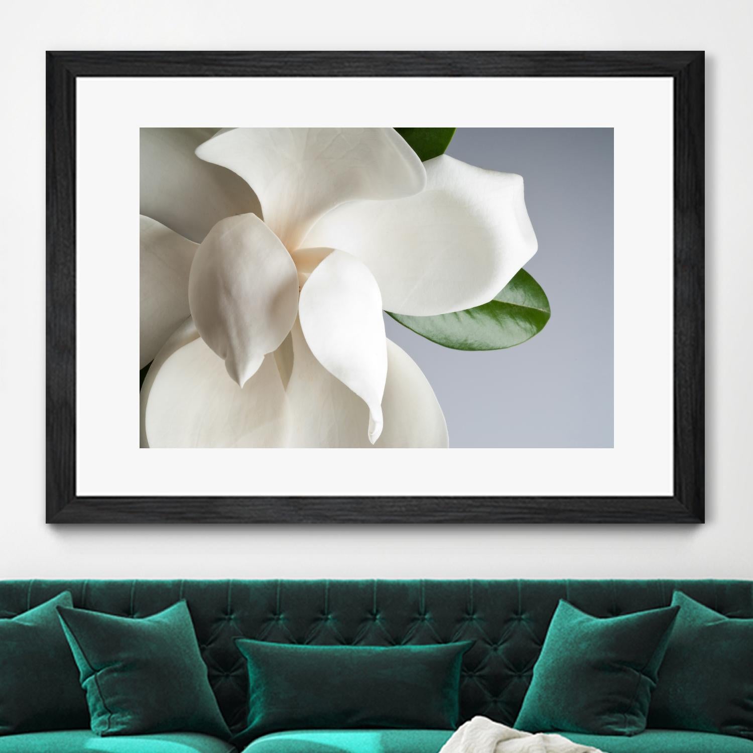 Magnolia by PhotoINC Studio on GIANT ART - multicolor photography; floral/still life