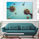 Palms by PhotoINC Studio on GIANT ART - multicolor photography; landscapes