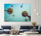 Palms by PhotoINC Studio on GIANT ART - multicolor photography; landscapes