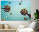 Palms by PhotoINC Studio on GIANT ART - multicolor photography; landscapes