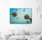 Palms by PhotoINC Studio on GIANT ART - multicolor photography; landscapes
