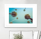 Palms by PhotoINC Studio on GIANT ART - multicolor photography; landscapes