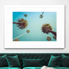 Palms by PhotoINC Studio on GIANT ART - multicolor photography; landscapes