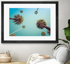 Palms by PhotoINC Studio on GIANT ART - multicolor photography; landscapes