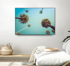 Palms by PhotoINC Studio on GIANT ART - multicolor photography; landscapes
