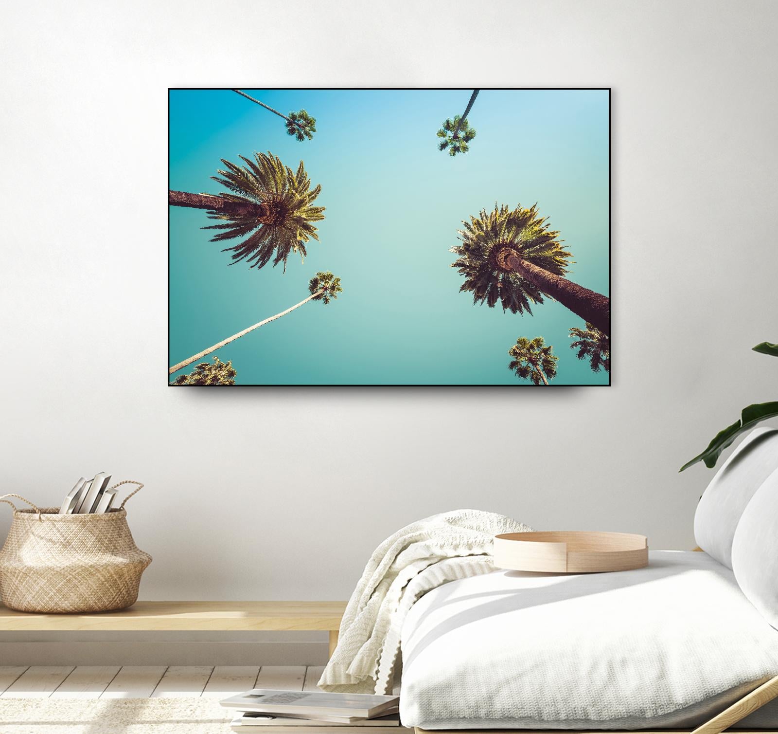 Palms by PhotoINC Studio on GIANT ART - multicolor photography; landscapes