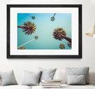 Palms by PhotoINC Studio on GIANT ART - multicolor photography; landscapes