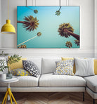Palms by PhotoINC Studio on GIANT ART - multicolor photography; landscapes