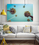 Palms by PhotoINC Studio on GIANT ART - multicolor photography; landscapes