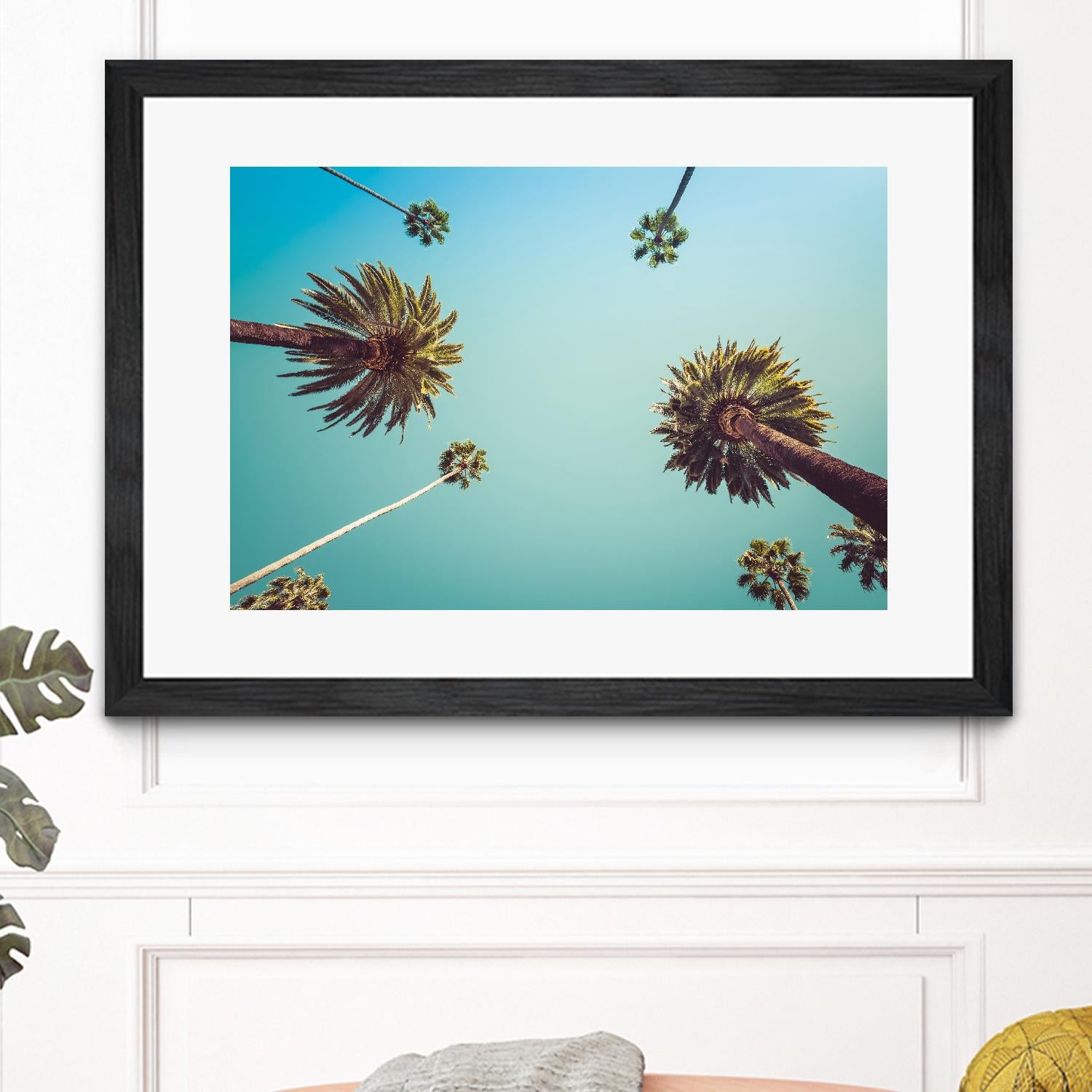 Palms by PhotoINC Studio on GIANT ART - multicolor photography; landscapes