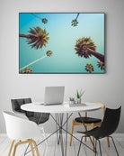 Palms by PhotoINC Studio on GIANT ART - multicolor photography; landscapes