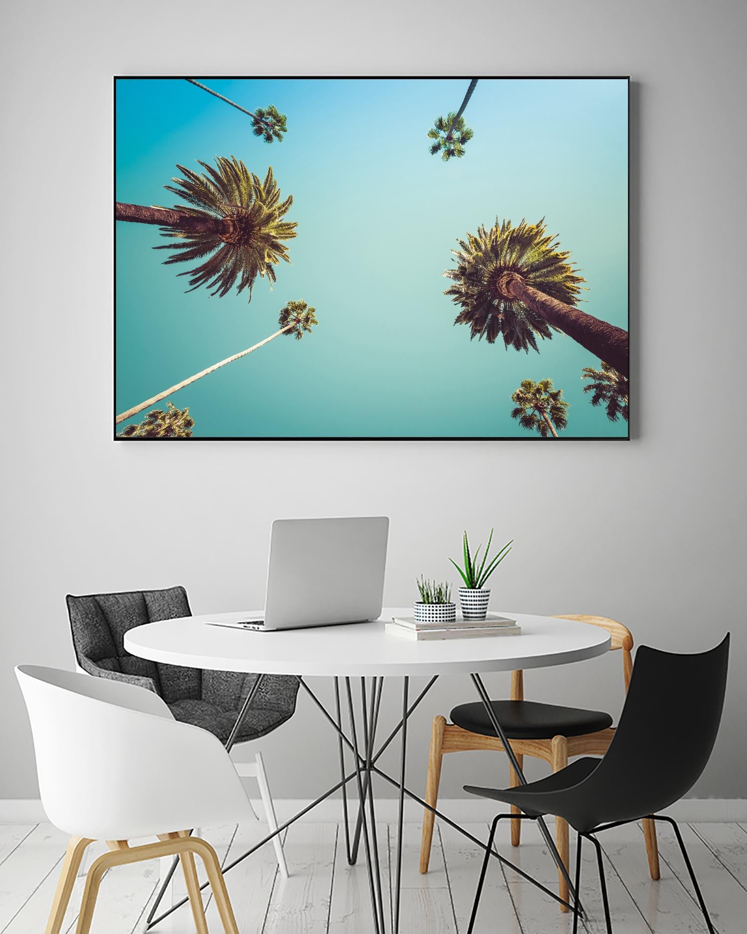 Palms by PhotoINC Studio on GIANT ART - multicolor photography; landscapes