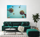 Palms by PhotoINC Studio on GIANT ART - multicolor photography; landscapes