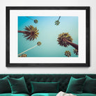 Palms by PhotoINC Studio on GIANT ART - multicolor photography; landscapes