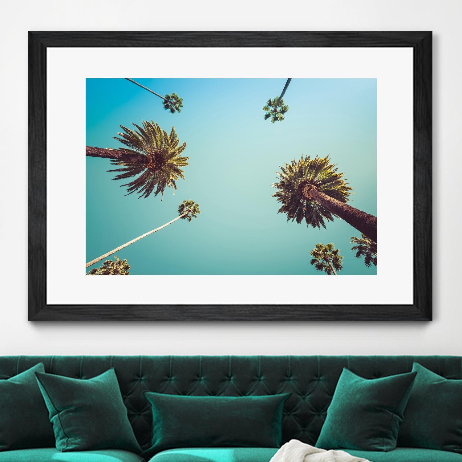 Palms by PhotoINC Studio on GIANT ART - multicolor photography; landscapes